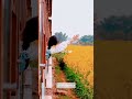 فانظر إلى دنيا معي هيا تعال في وحدتي حلمي تحطم واختفى اكسبلور 