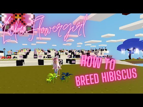 How to Breed Hibiscus in Roblox Islands