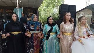 Rugeş Bazi - Ertoşi Aşireti Gülşen& Ramazan Korkmaz Ailesi Düğünü 2023