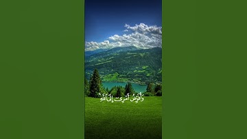 فستذكرون ما اقول لكم وافوض امري الى الله /القارئ خالد_الجليل #قرآن
