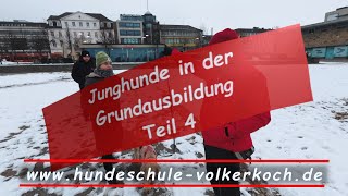 MODULSYSTEM IN DER JUNGHUNDE GRUNDAUSBILDUNG TEIL 4