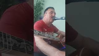Necip Çağlamaz Çığ düşmüş gönül bağıma