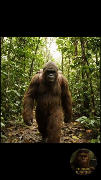 Acompañen a pie grande en esta nueva aventura #shorts #bigfoot #humor
