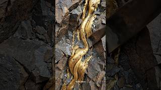 Breaking Stone to Reveal Hidden Gold ✨⛏️ | From Raw Gold Vein to Refined Gold Bar (Satisfying ASMR)