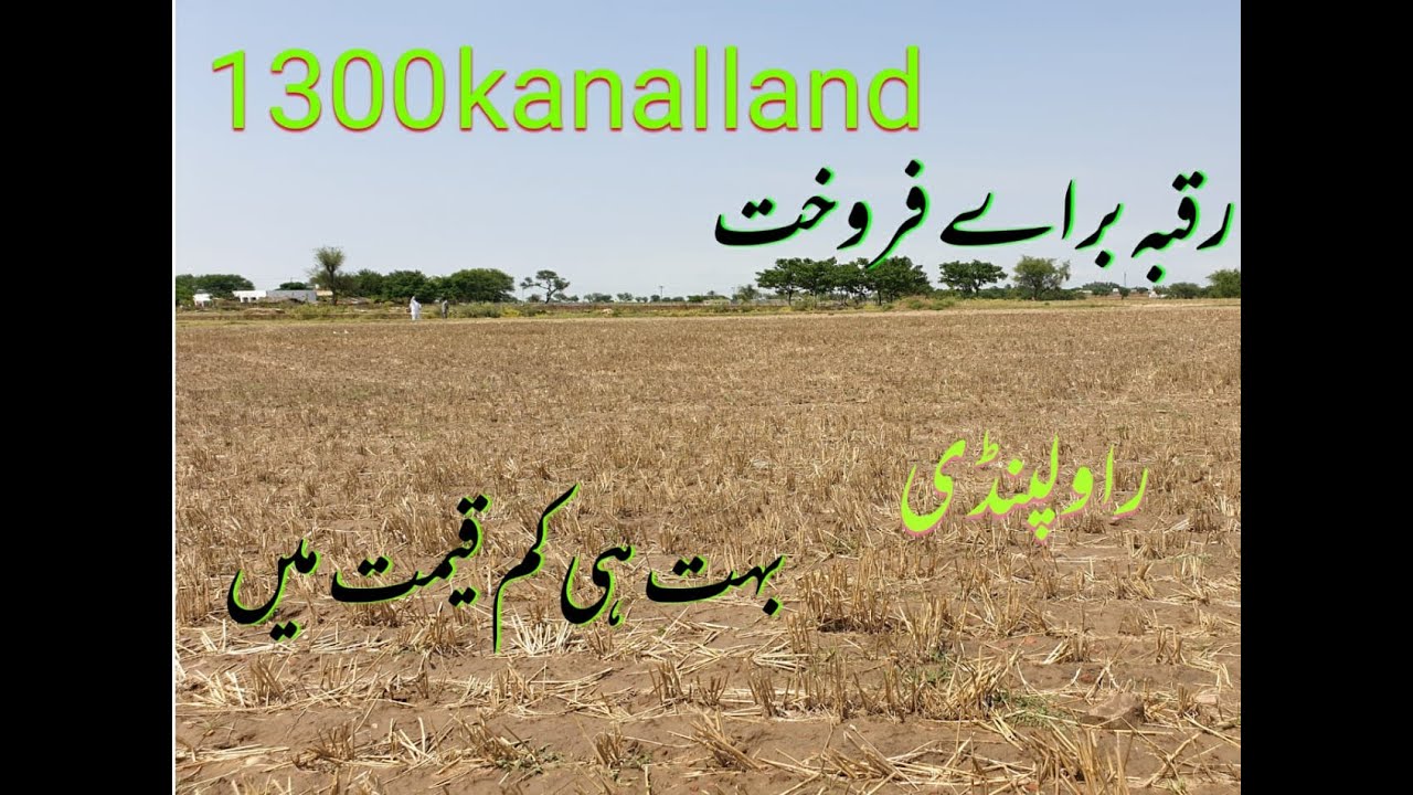 Land for Sale Agriculture Land Rawalpindi Gujjar Khan YouTube