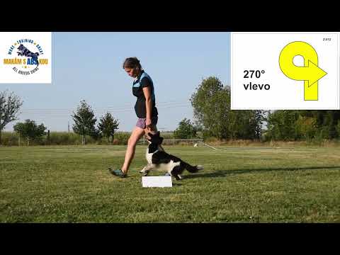 Rally obedience - přehled cviků třídy ROZ , český národní řád 09/2024