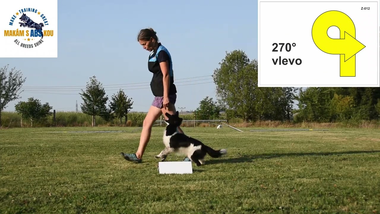 Rally obedience - přehled cviků třídy ROZ , český národní řád 09/2024