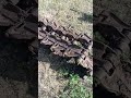15 траков
