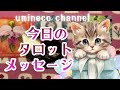 【4月30日】自分らしくいられる環境 違いを知り受け入れる 直面する現実 🌟しあわせになる力を引きだすタロットセラピー