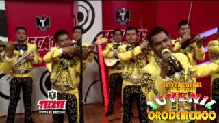 Video thumbnail of "GRACIAS AMOR MARIACHI JUVENIL ORO DE MEXICO"