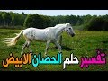 حلم الحصان الابيض للعزباء في المنام تفسير الحصان الابيض للمتزوجة والحامل في المنام حلم الحصان الابيض للعزباء في المنام تفسير الحصان الابيض للمتزوجة والحامل في المنام