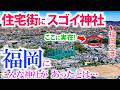 ⚠️突如 住宅街に出現！やはり福岡に実在！参拝者増のすごい神社【埴安神社】龍神様の聖地でした