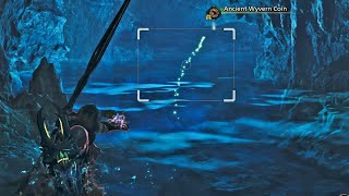 Ancient Wyvern Coin Easy Farm MH Wilds