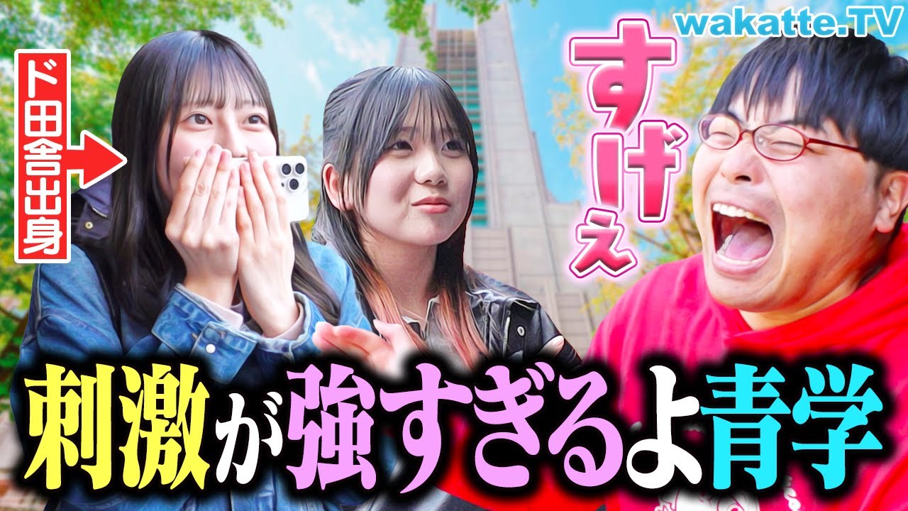 【地方から青学へ】想像以上のキラキラキャンパスに圧倒された瞬間とは？【wakatte TV】#1233