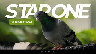 GREBEK KANDANG MERPATI STAR ONE BHINEKA SEMARANG