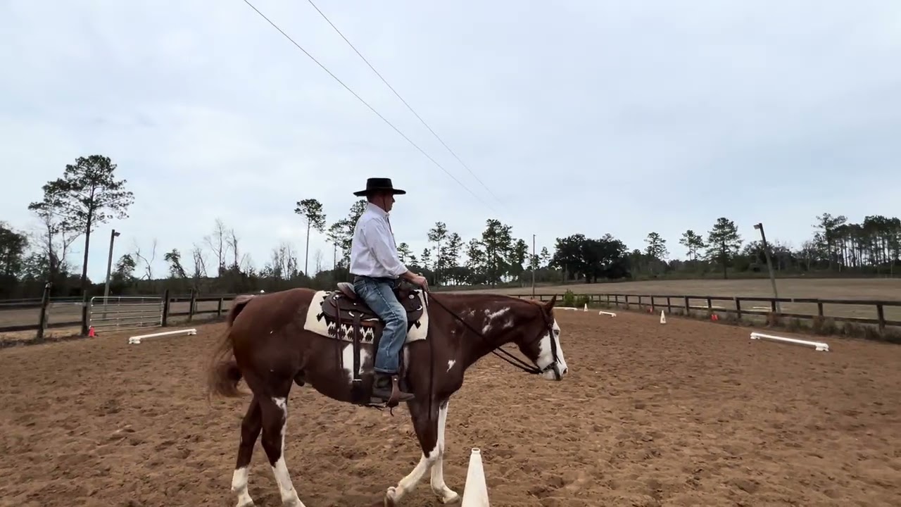 2026 WDAFL Gingerbread Jubilee, Scott-Ranger, WDAA 2022 Intro 2-A