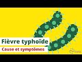 Fievre typhoide cause et symptomes