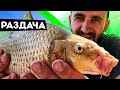 ПОЙМАЛ ВСЮ РЫБУ! ЛЕЩ, САЗАН, КАРАСЬ, ЯЗЬ! РЫБАЛКА НА ФИДЕР С НОЧЕВКОЙ! Алей #наводе #рыбалка