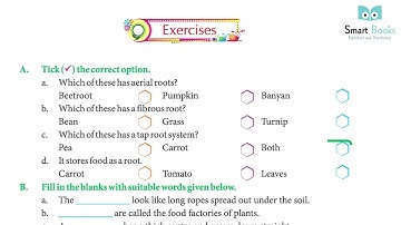 EVS Class 4 Chapter 7 Plant World | Smart Book Publisher