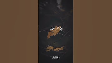 ولو يؤاخذ الله الناس بظلمهم ما ترك عليها من دابة  [ النحل : 61 ] القارئ ياسر الدوسري