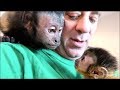 Baby Monkey Meets Capuchin Monkey & Pet Human!