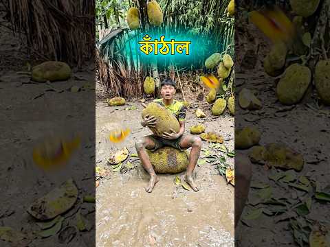 ছোটবেলার কেলোর কীর্তি 🤣 #funny #comedy #shortsfeed #ytshorts
