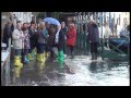 ACQUA ALTA a Rialto Venezia 2014