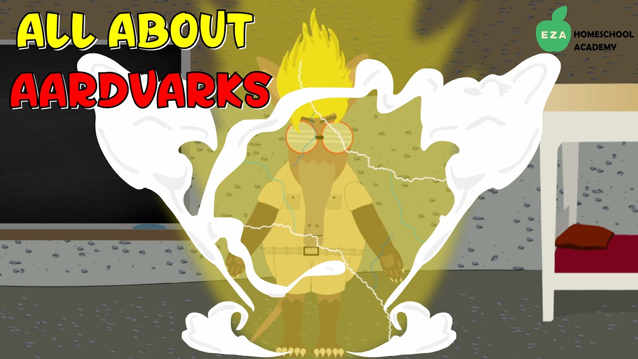 All about Aardvarks || Facts about Aardvarks