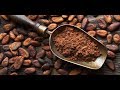 Cacao as a medicine and the benefits of Cacao Ceremony