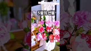 꽃은 언제 봐도 행복하고 기분이 좋지요 한 송이여도 좋아요 마음이에요 마크라메 화분걸이 Mark Ramée potting rack #카네이션#5월#가정의달#장미꽃