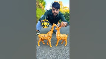 Ei Bar Duita Remote Control Deer and Rc Giraffe Ailam