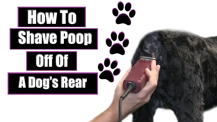 How To Shave Poop From A Dog's Rear