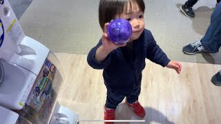 ガチャガチャをする子　Where children play gacha