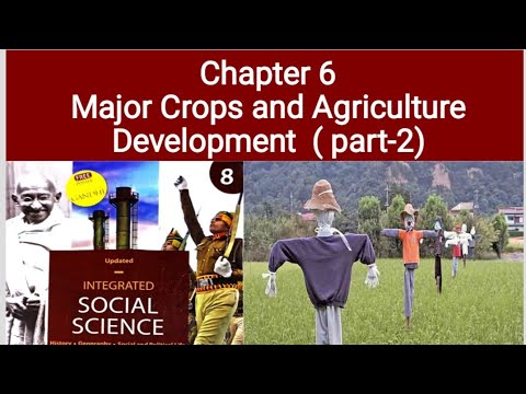 class 8 geography chapter 6 Major Crops and Agricultural Development