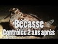 Baguage bécasse - Bécasse, contrôlée 2 ans après !