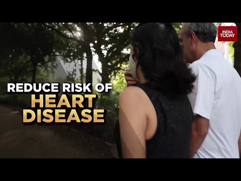What Are The Benefits Of Daily walking In Park? Health 360