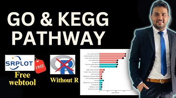 How to draw (GO) and KEGG pathway