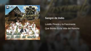 Video thumbnail of "SANGRE DE INDIO"