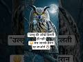 उल्लू की आँखें क्यों नहीं हिलती? 😳 ये Fact आपको हैरान कर देगा! 🦉 #amazingfacts #hindifacts #owl