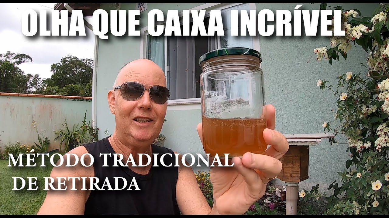 355- COMO COLHER MEL DE ABELHA JATAÍ, MÉTODO TRADICIONAL