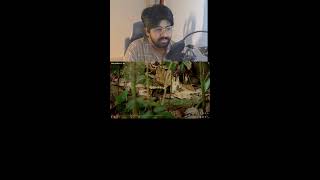 🔴playing csgo new update🔴 #shorts