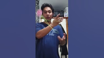 reverse GT to reverse brother mount #dna #yoyo #yoyotrick