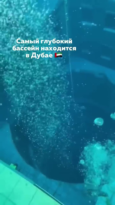 Минет порно видео HD