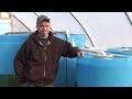 Big Aquaponic Greenhouse - Part 12 - Fish Tank and Plumbing