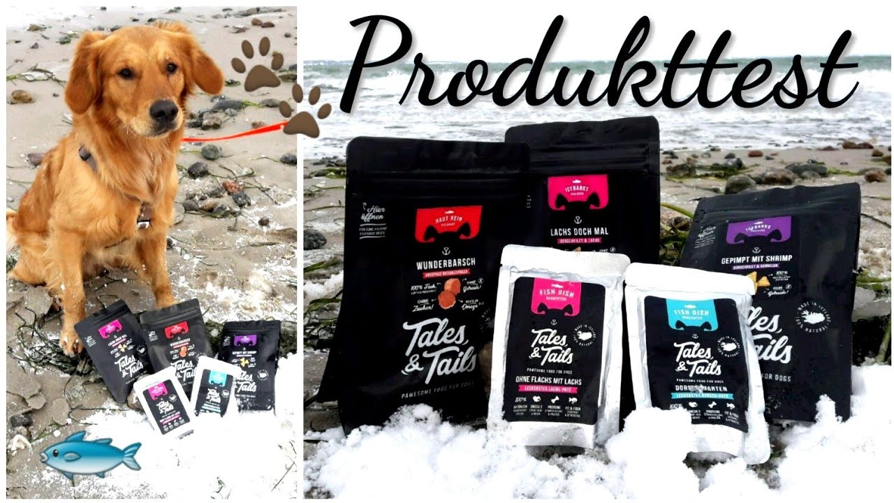 hund orthopdisches bett MIA Orthopdisches Haustierbett fr Hund und Katze  Glory Kollektion   Pet's Heaven