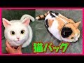 [超リアルでハイクオリティ] 猫バッグ 日本女性が作ったそうです。