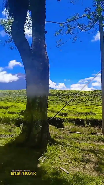 Abang ku jauh lagu jambi Kerinci