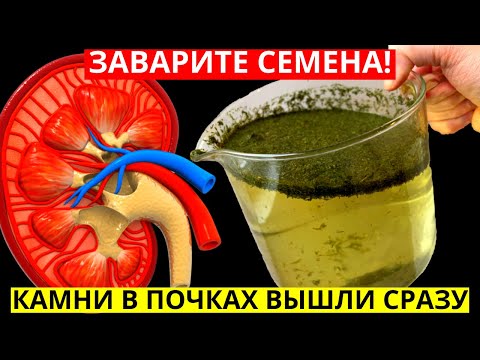 СЕМЕНА ВОЗРОЖДЕНИЯ! Всего одна ложка СЕМЯН УКРОПА и Организм Как Новый. Врачи в шоке!