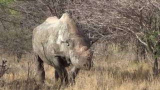 Namibie et Afrique du sud