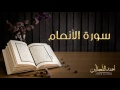           ahmed al la.an  surat alanam